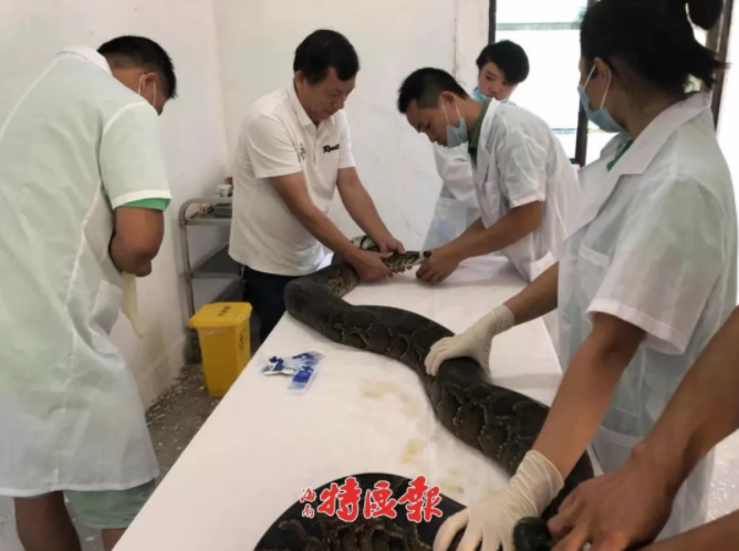十二屆全國人大常委會(huì)第二十九次會(huì)議在京閉幕