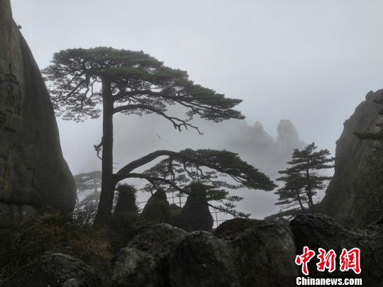 習近平同巴西聯(lián)邦共和國總統(tǒng)舉行會談 兩國元首一致同意推動中巴全面戰(zhàn)略伙伴關(guān)系取得新的更大發(fā)展