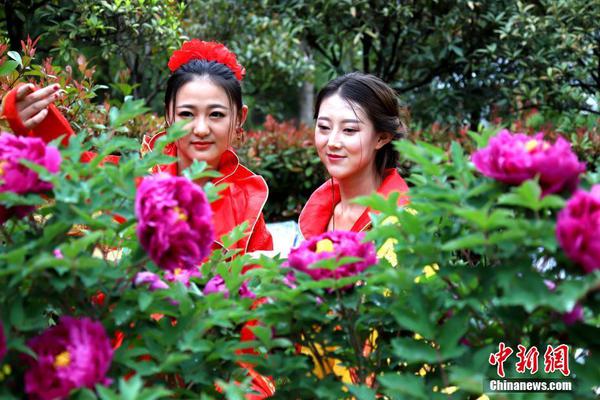 俞正聲會(huì)見(jiàn)巴西聯(lián)邦共和國(guó)總統(tǒng)