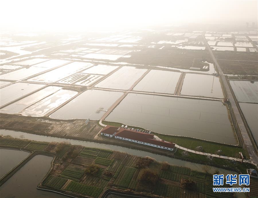 河北“袁府”是養(yǎng)老院？白巖松：要真是，就感動(dòng)中國了