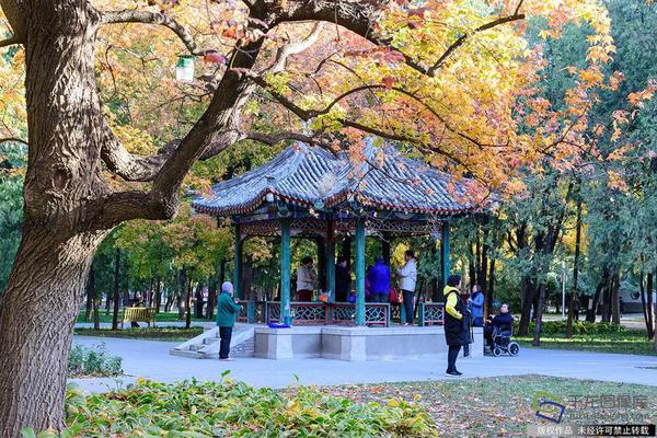 習(xí)近平總書記在深度貧困地區(qū)脫貧攻堅座談會上的重要講話引起強(qiáng)烈反響
