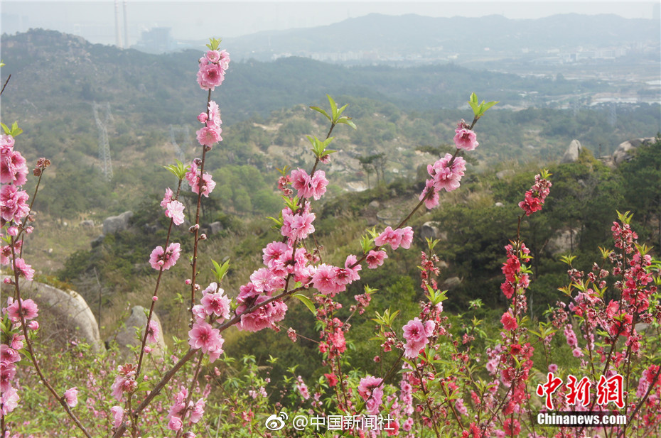 習近平同巴西聯(lián)邦共和國總統(tǒng)舉行會談 兩國元首一致同意推動中巴全面戰(zhàn)略伙伴關(guān)系取得新的更大發(fā)展