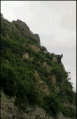 河北“袁府”是養(yǎng)老院？白巖松：要真是，就感動(dòng)中國了