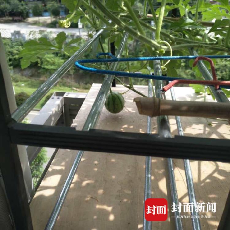李克強會見巴西聯(lián)邦共和國總統(tǒng)
