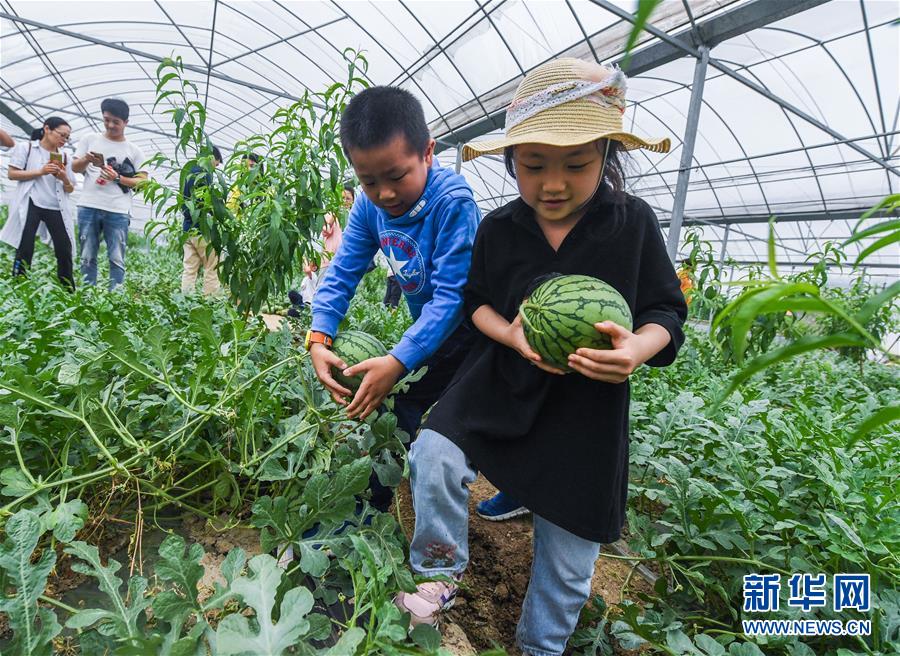 歌斐資產(chǎn)全委團(tuán)隊榮獲兩項大獎項