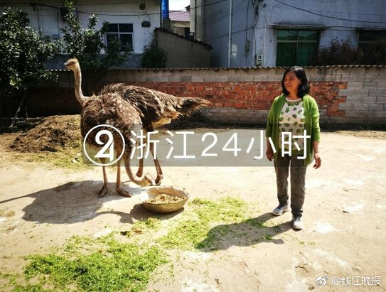 李克強會見巴西聯(lián)邦共和國總統(tǒng)