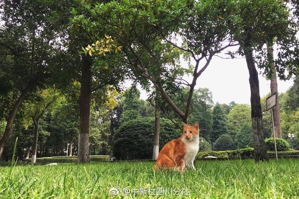 俄遠東草原發(fā)生火災造成27人受傷