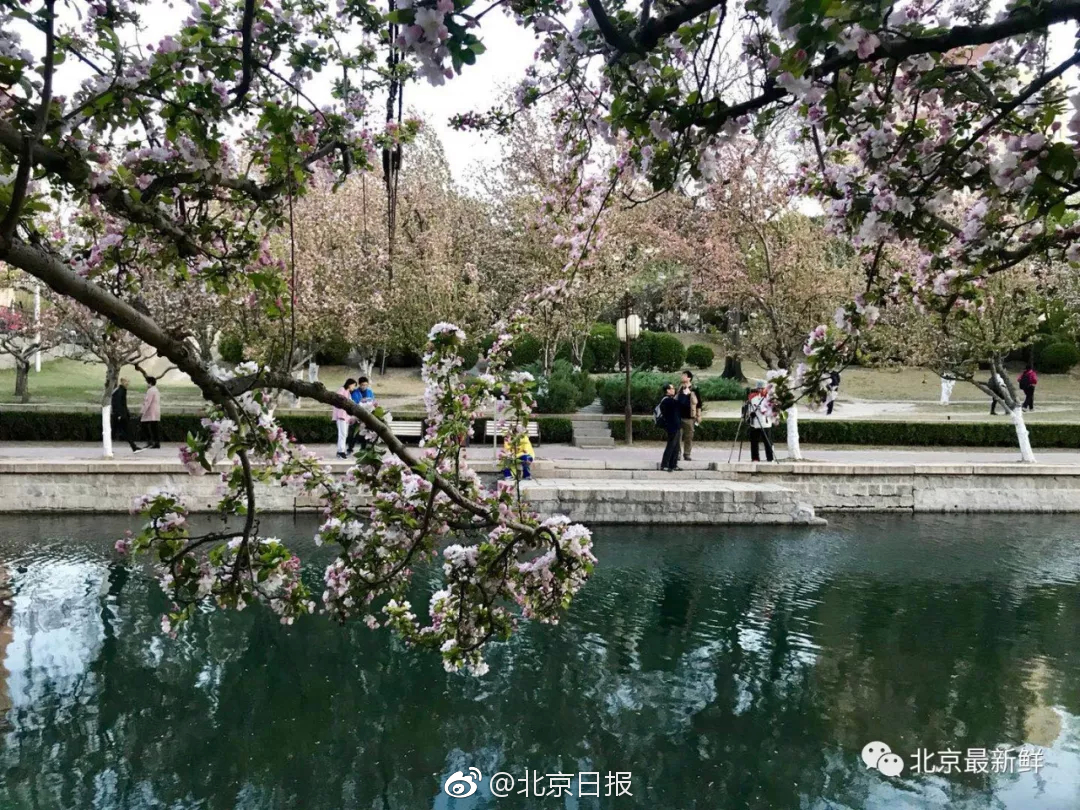 李克強(qiáng)會(huì)見巴西聯(lián)邦共和國總統(tǒng)