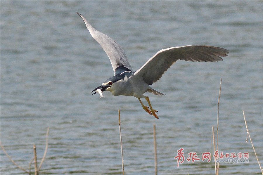 習近平總書記在深度貧困地區(qū)脫貧攻堅座談會上的重要講話引起強烈反響