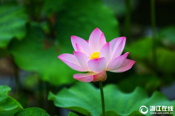 李克強(qiáng)會見巴西聯(lián)邦共和國總統(tǒng)