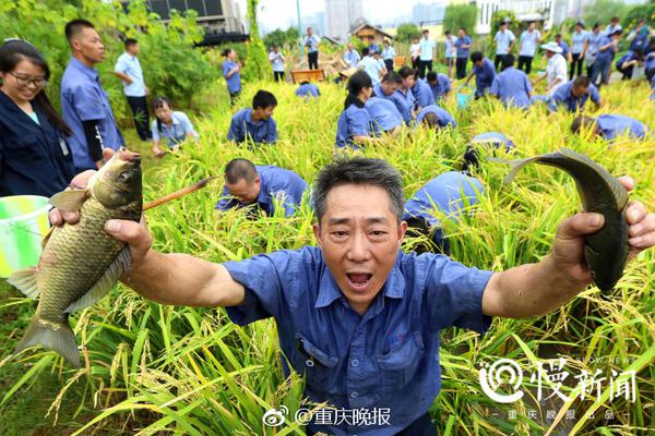 習近平同巴西聯(lián)邦共和國總統(tǒng)舉行會談 兩國元首一致同意推動中巴全面戰(zhàn)略伙伴關系取得新的更大發(fā)展