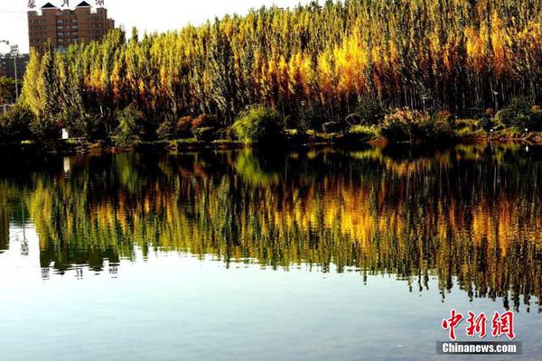 習(xí)近平同巴西聯(lián)邦共和國總統(tǒng)舉行會談 兩國元首一致同意推動中巴全面戰(zhàn)略伙伴關(guān)系取得新的更大發(fā)展