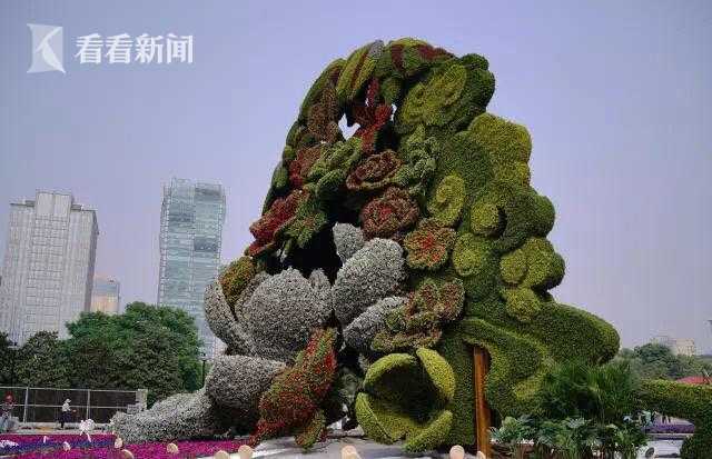 習(xí)近平同巴西聯(lián)邦共和國總統(tǒng)舉行會談 兩國元首一致同意推動中巴全面戰(zhàn)略伙伴關(guān)系取得新的更大發(fā)展