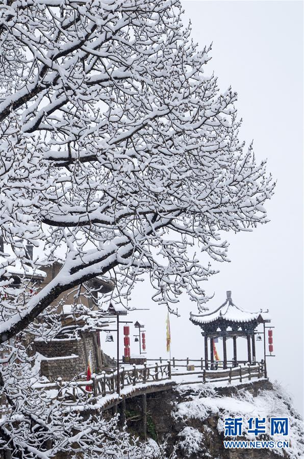 俞正聲會見巴西聯(lián)邦共和國總統(tǒng)