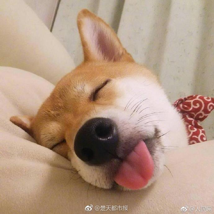 習(xí)近平同巴西聯(lián)邦共和國總統(tǒng)舉行會談 兩國元首一致同意推動(dòng)中巴全面戰(zhàn)略伙伴關(guān)系取得新的更大發(fā)展