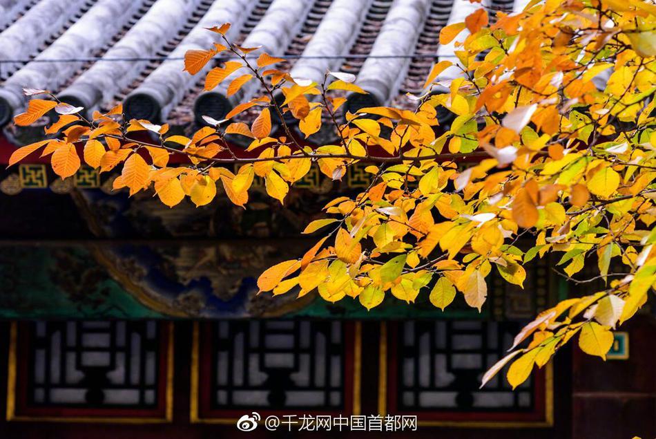 70年前北影廠成立，拍攝經(jīng)典作品你看過幾部丨日簽