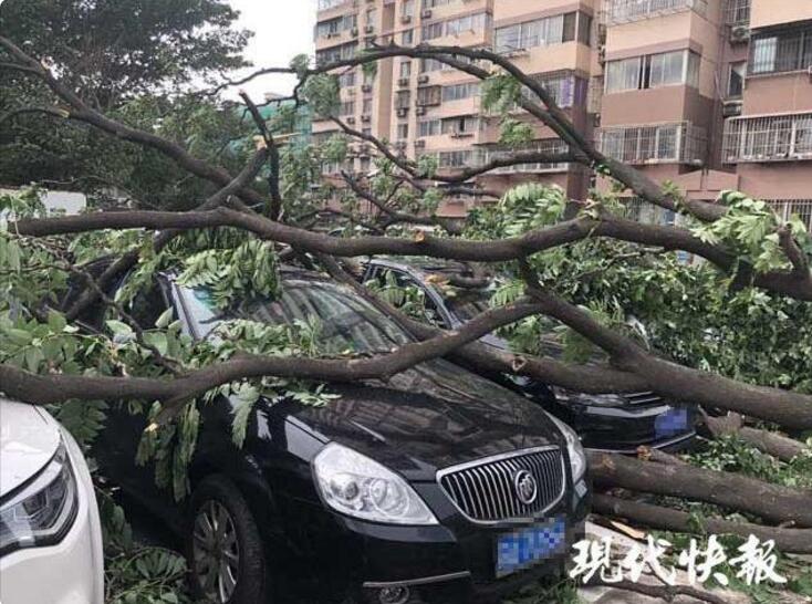習(xí)近平同巴西聯(lián)邦共和國總統(tǒng)舉行會談 兩國元首一致同意推動中巴全面戰(zhàn)略伙伴關(guān)系取得新的更大發(fā)展