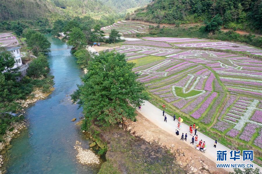 生產(chǎn)、銷售假劣疫苗，罰款標準擬提至3000萬