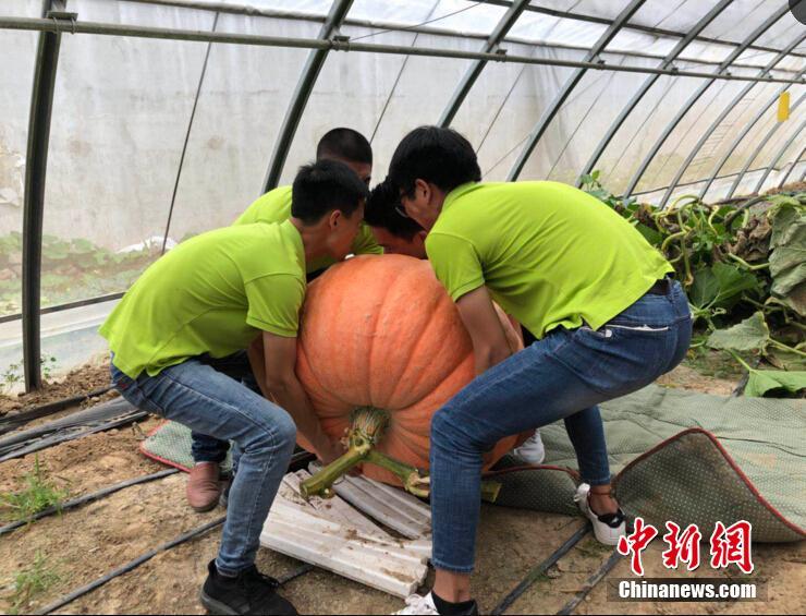 中共中央黨校舉行秋季學(xué)期開學(xué)典禮 劉云山出席并講話