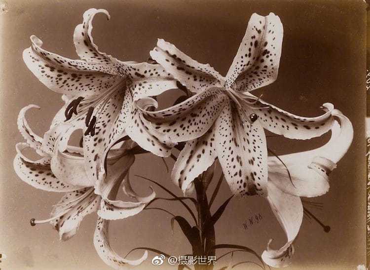 李克強會見巴西聯(lián)邦共和國總統(tǒng)