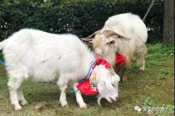 中共中央黨校舉行秋季學期開學典禮 劉云山出席并講話
