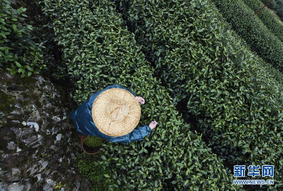 習(xí)近平同巴西聯(lián)邦共和國(guó)總統(tǒng)舉行會(huì)談 兩國(guó)元首一致同意推動(dòng)中巴全面戰(zhàn)略伙伴關(guān)系取得新的更大發(fā)展