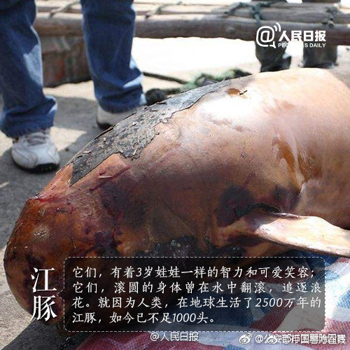 習(xí)近平同巴西聯(lián)邦共和國總統(tǒng)舉行會談 兩國元首一致同意推動中巴全面戰(zhàn)略伙伴關(guān)系取得新的更大發(fā)展