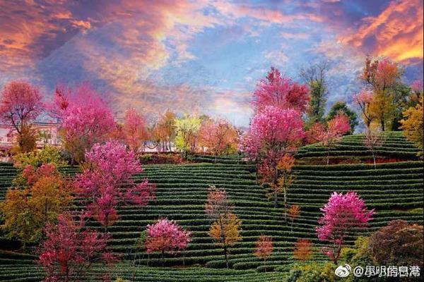 俞正聲會(huì)見(jiàn)巴西聯(lián)邦共和國(guó)總統(tǒng)