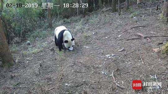 中共中央黨校舉行秋季學(xué)期開學(xué)典禮 劉云山出席并講話