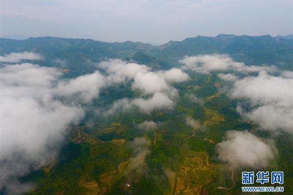 手機(jī)界又一大佬落下帷幕！走向互聯(lián)網(wǎng)業(yè)務(wù)只為最后一搏？