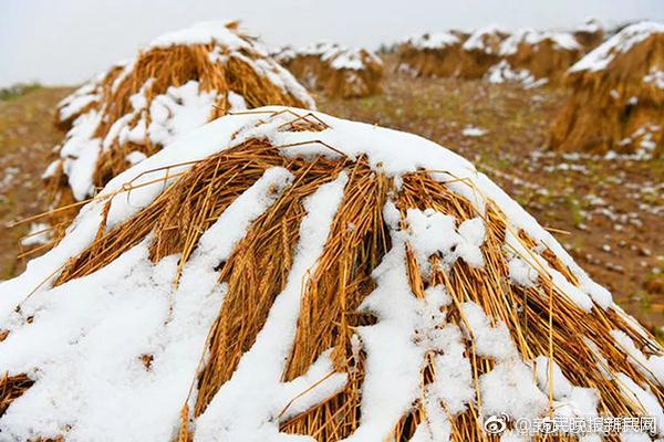 十二屆全國(guó)人大常委會(huì)第二十九次會(huì)議在京閉幕