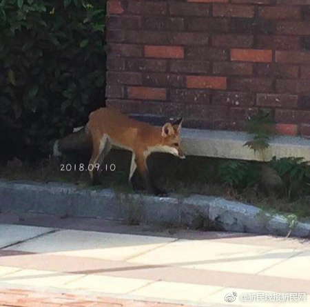 十二屆全國(guó)人大常委會(huì)第二十九次會(huì)議在京閉幕